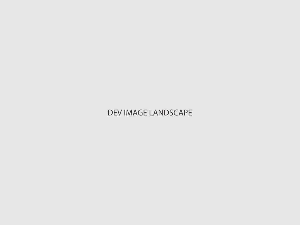 Dev Landscape
